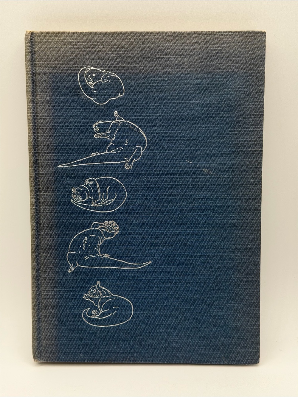 The Otter's Tale by Gavin Maxwell (Hardcover Book, 1962) First Edition